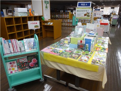 midori