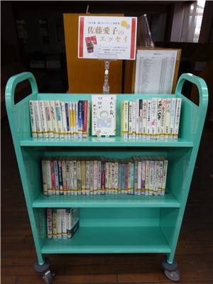 satouaiko